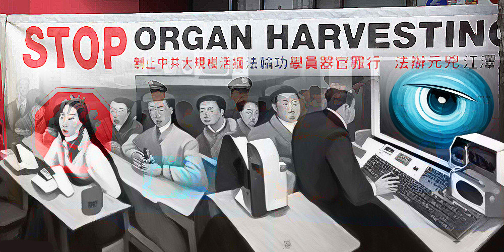 China, Organ Harvesting