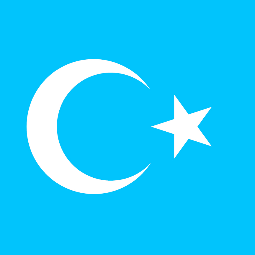 Uyghurs, flag
