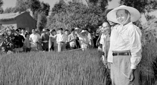 Mao pretending to oversee a sea of plenty